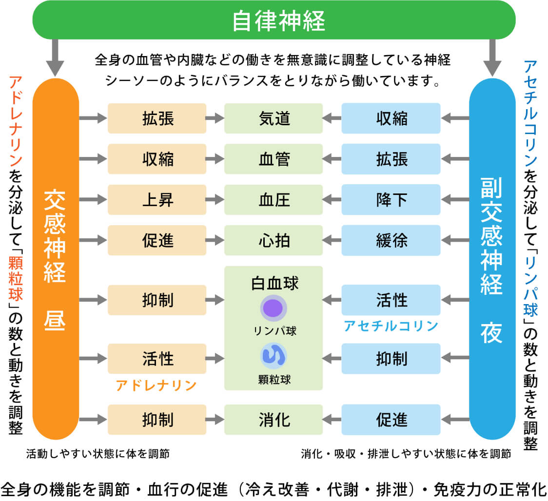 自律神経免疫療法 鍼灸整骨院 Tecu トレーフル プリュス